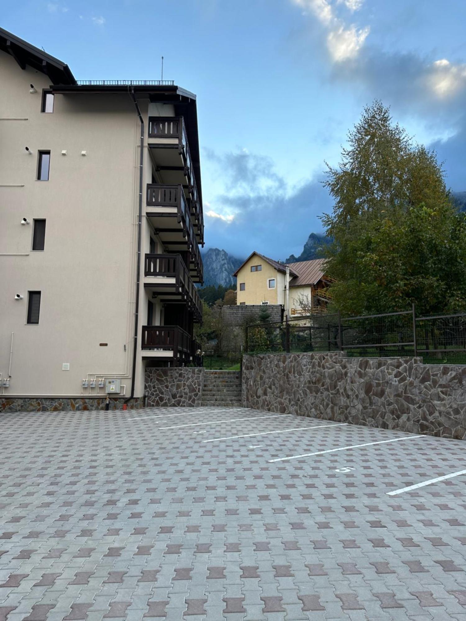 The View Apartment 3 Busteni Bagian luar foto